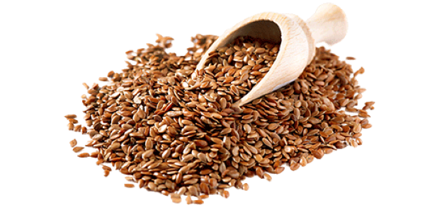 تصویر 5 از خرید و قیمت تخم کتان قرمز + فروش صادراتی